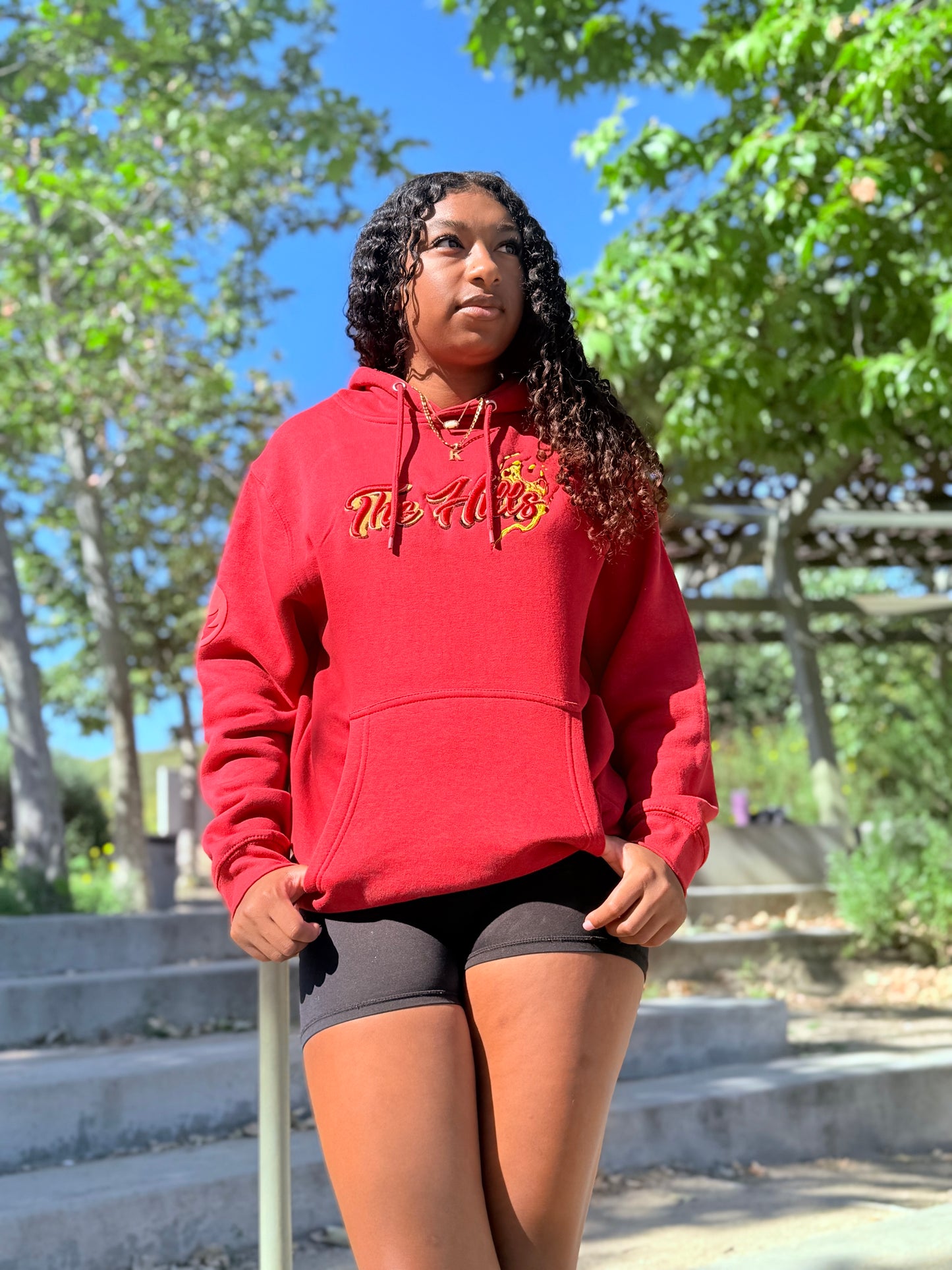 The Hills Pokemon Fire Type Hoodie