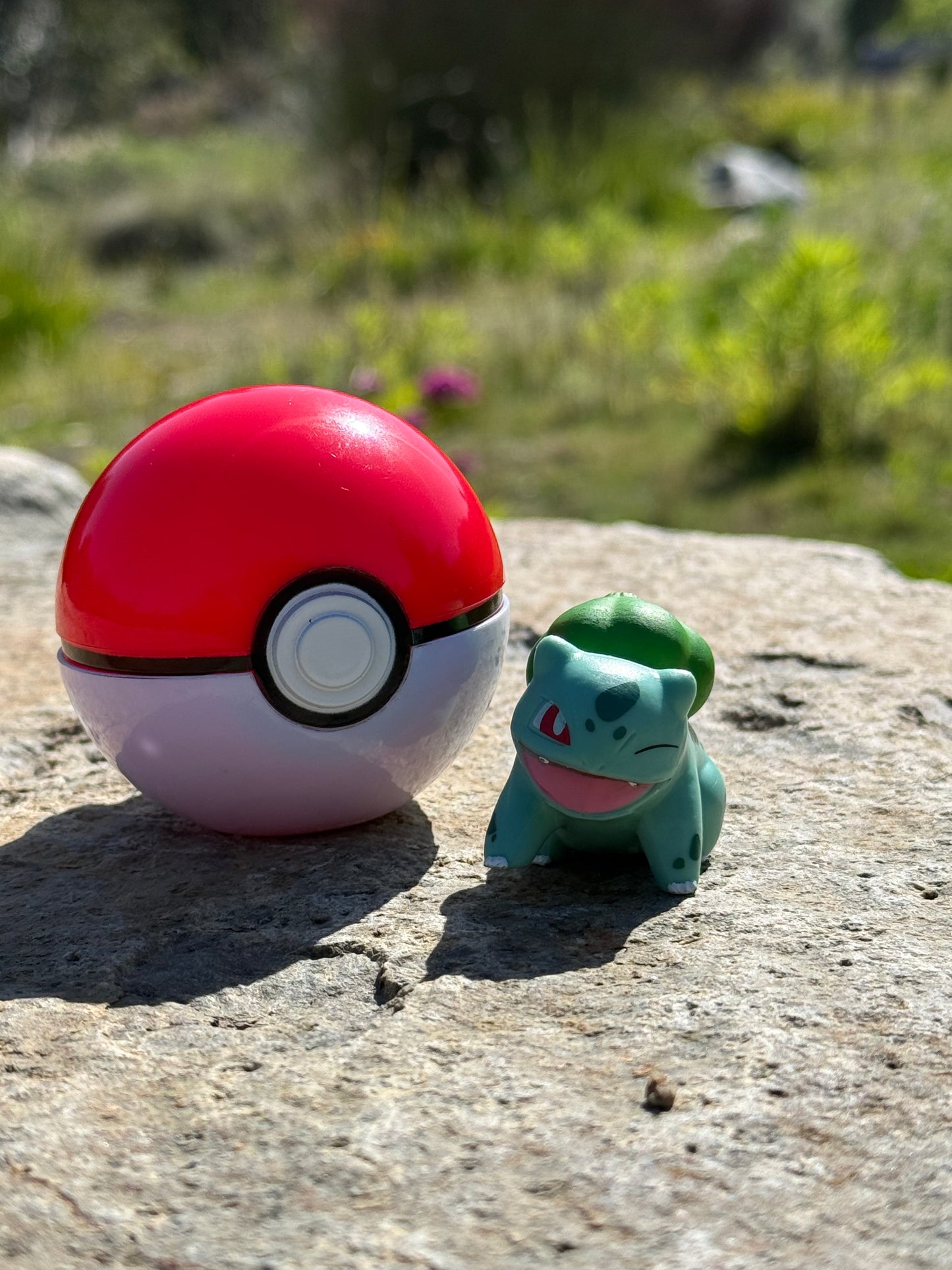 The Hills Pokemon Grass Type Hoodie