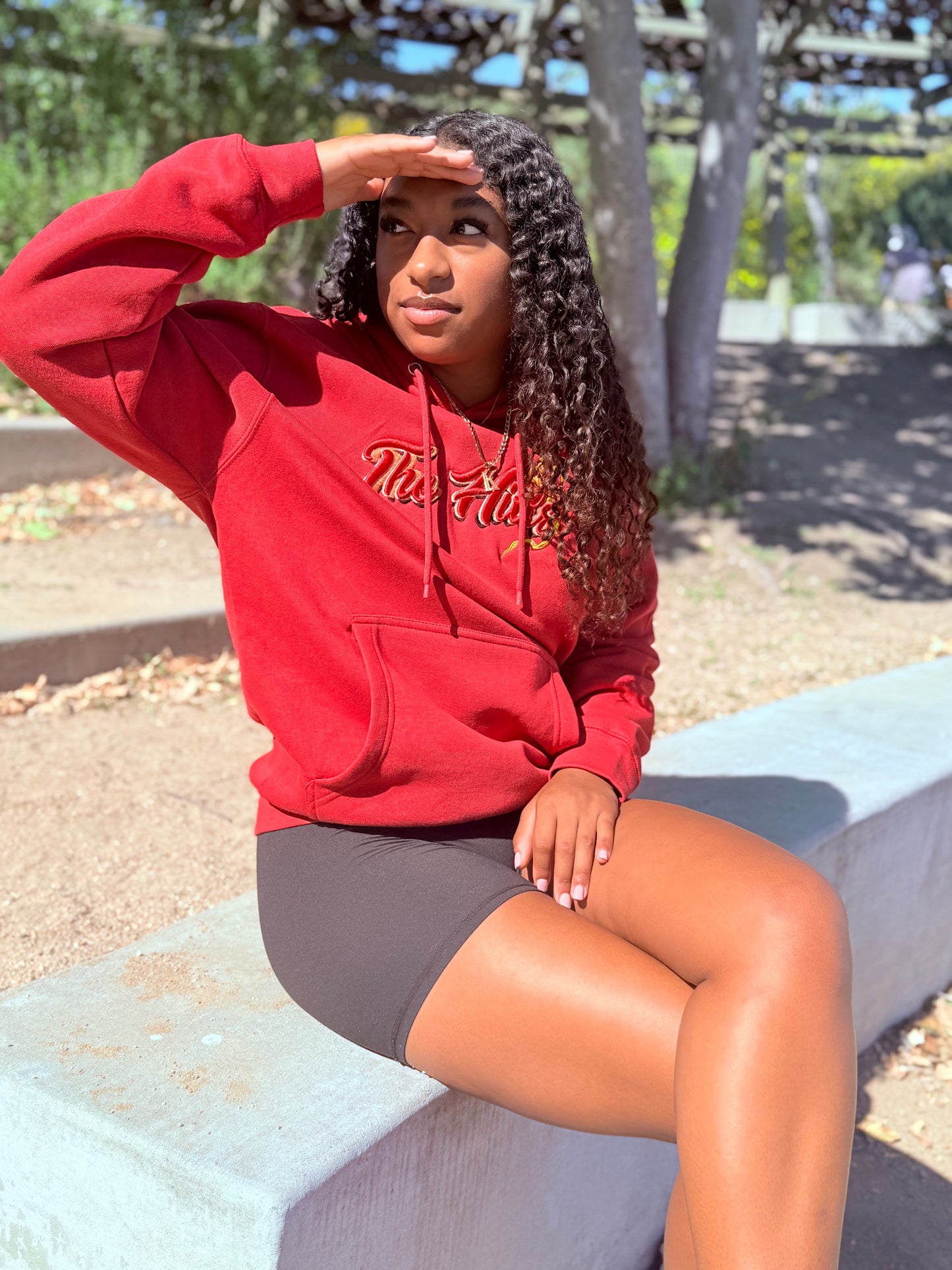 The Hills Pokemon Fire Type Hoodie